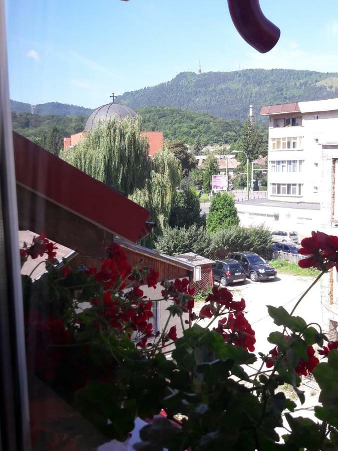 Appartement Felicita à Braşov Extérieur photo